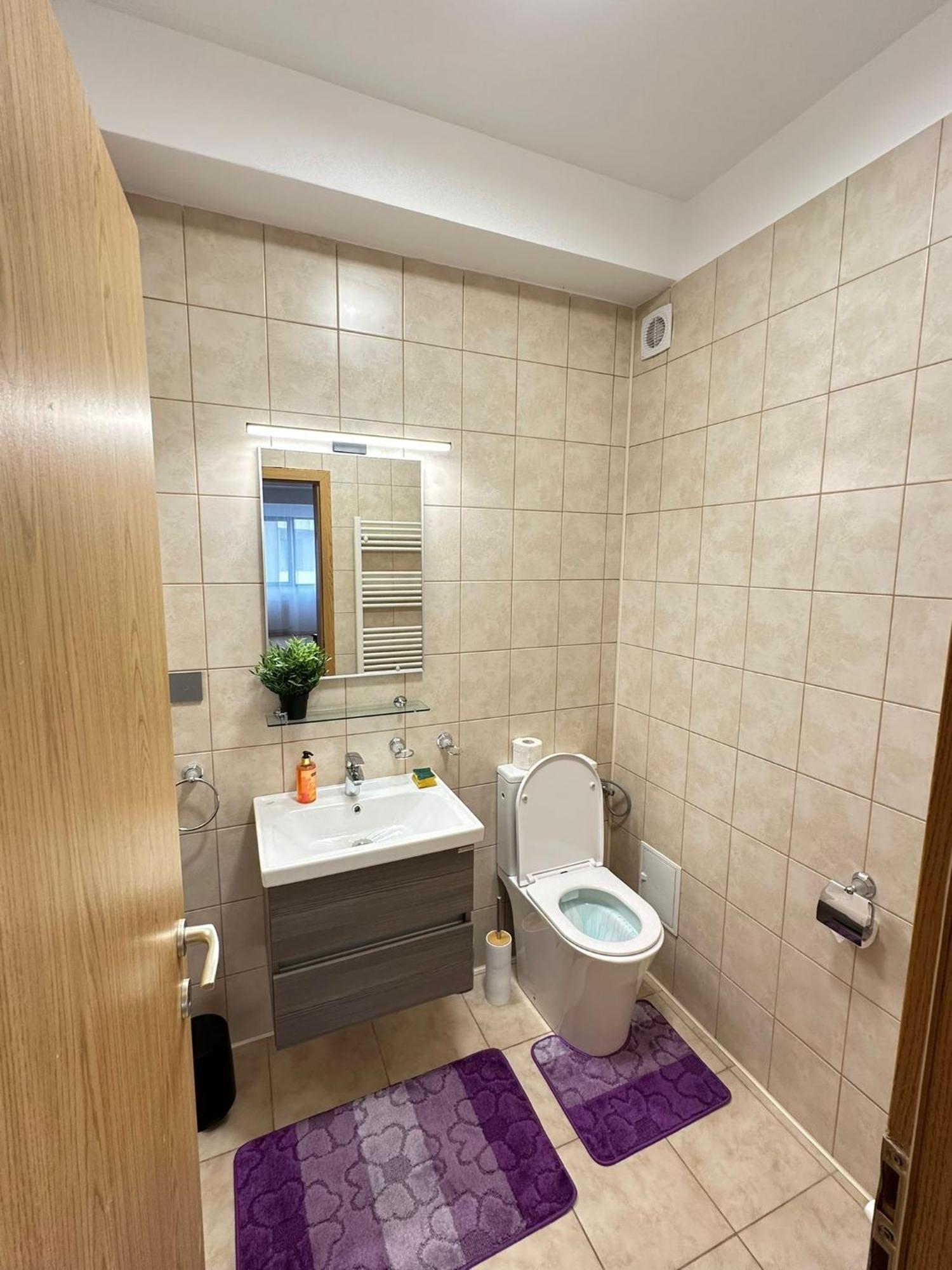 Centru Unirii Luxury Vip Palmier Apartament 2 Camere Cu Terasa Exterioara Amenajata ! Parcare Subterana Privata Climatizata Si Supravegheata Video Dar Doar Cu Rezervare In Limita Locurilor Disponibile !Proprietate In Regim Hoteliep - Nu Are Bucatarie Bukurešť Exteriér fotografie